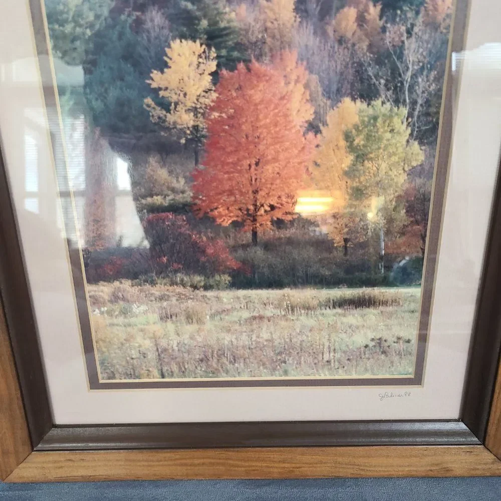 Vintage Autumn Fall Photography Wall Hanging Framed and Matted J Palmer 1988